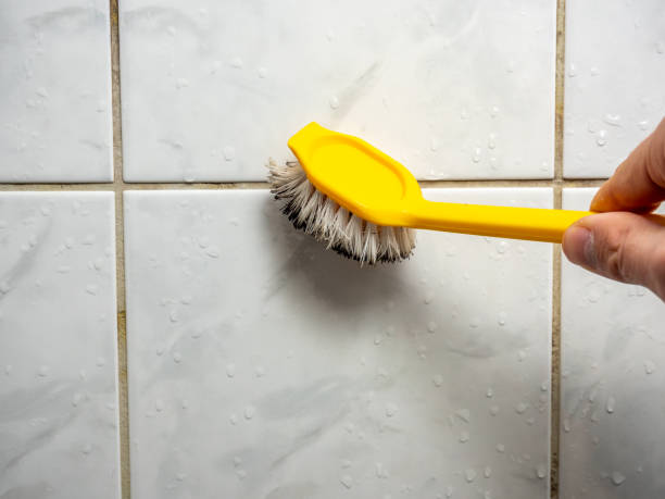 Best Local Mold Removal Service  in Galls, IN