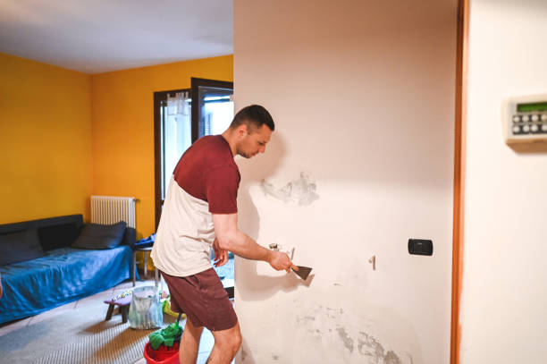 Best Fast Mold Removal  in Galls, IN